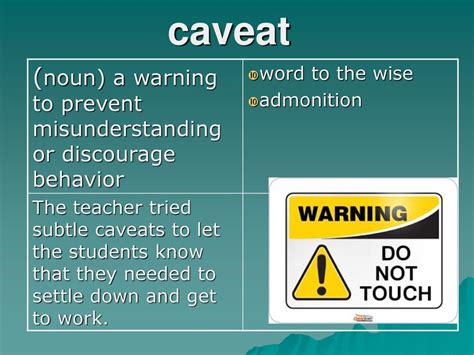 caveat noun .